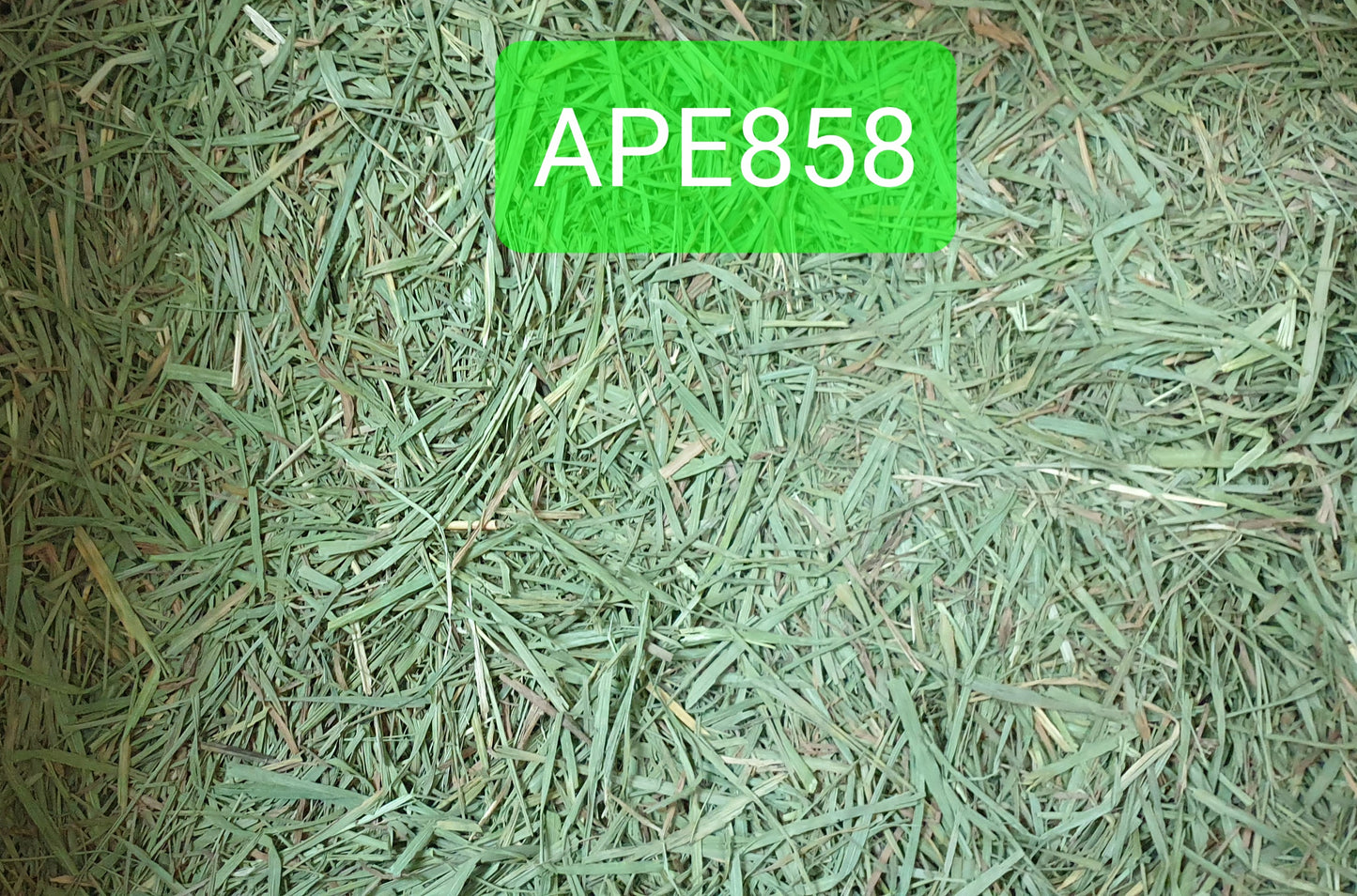 (Hay Condition As Shown In Photo, color may differ due to lighting) APD Timothy Gold - 5 LBs