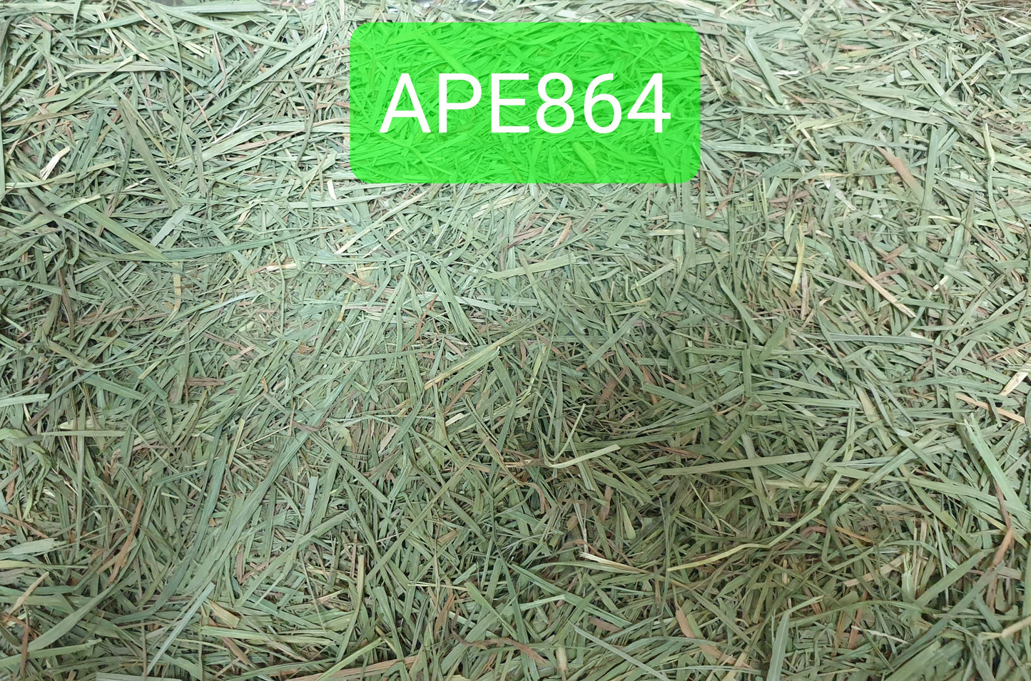 (Hay Condition As Shown In Photo, color may differ due to lighting) APD Timothy Gold - 5 LBs