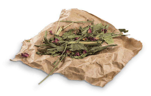 Bunny Nature - Ribwort & Rose Blossoms