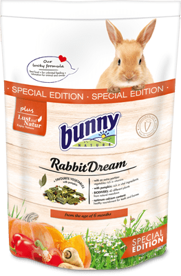 Bunny Nature - Dream Special Edition Rabbit