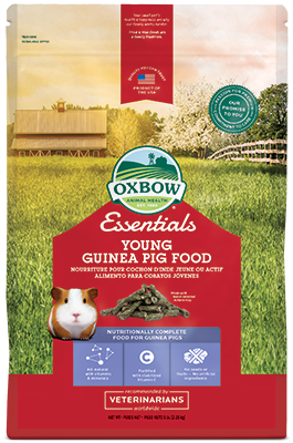 Oxbow Young Guinea Pig Food