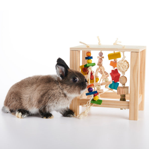 Oxbow Enriched Life Play Table