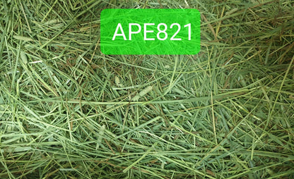 (Hay Condition As Shown In Photo, color may differ due to lighting) APD Timothy Gold - 5 LBs