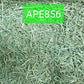 (Hay Condition As Shown In Photo, color may differ due to lighting) APD Timothy Gold - 5 LBs