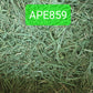 (Hay Condition As Shown In Photo, color may differ due to lighting) APD Timothy Gold - 5 LBs