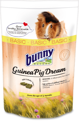 Bunny Nature - Dream Basic Guinea Pig