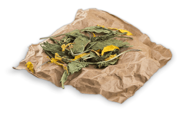Bunny Nature - Echinacea Petals & Sunflower