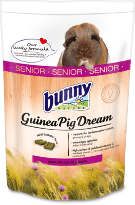 Bunny Nature - Dream Senior Guinea Pig