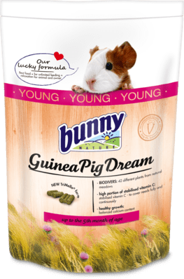 Bunny Nature - Dream Young Guinea Pig
