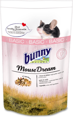 Bunny Nature - Mouse Dream Expert