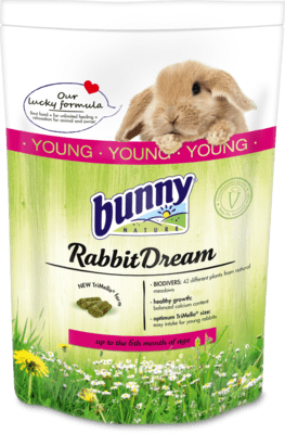 Bunny Nature - Dream Young Rabbit