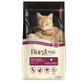 Burgess Mature Cat Turkey & Cranberry