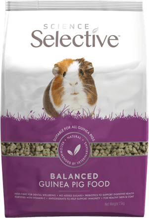 Selective Science Guinea Pig 4.4lb