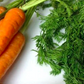 Carrot with Tops