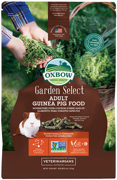 Garden Select Adult Guinea Pig