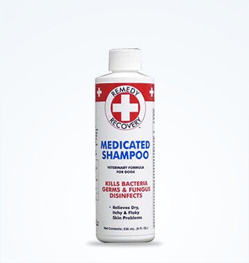 Remedy+Recovery Medicated Shampoo