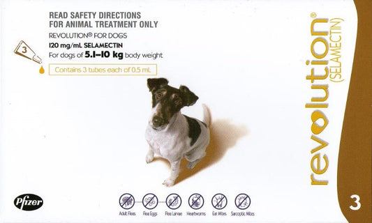 Revolution for Dogs