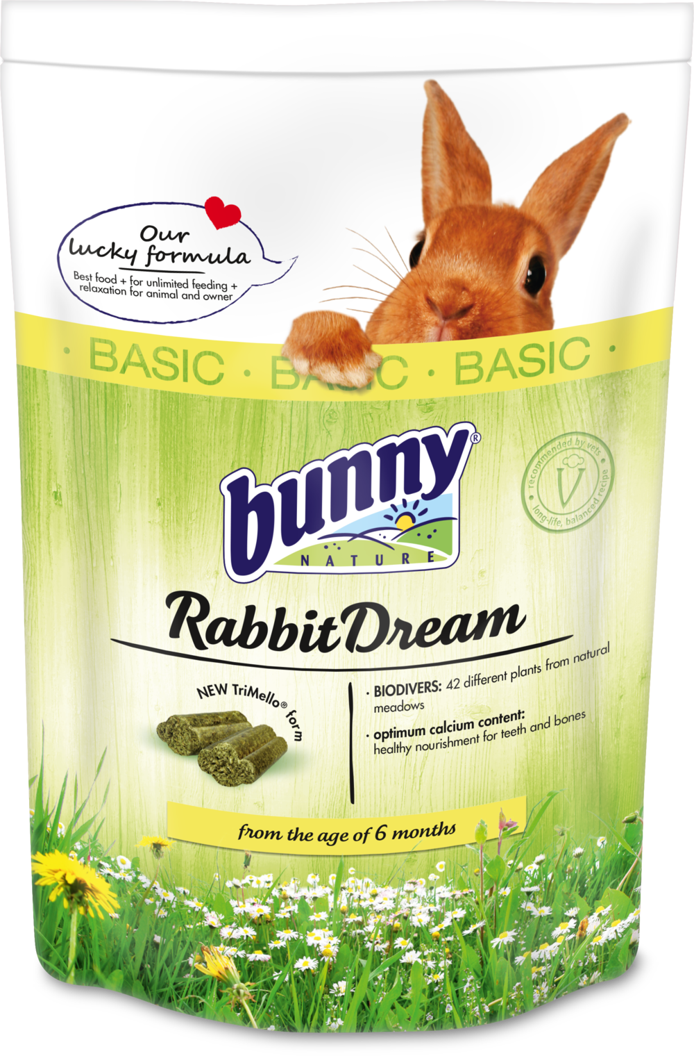 Bunny Nature - Dream Basic Rabbit