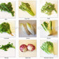 VEGGIES